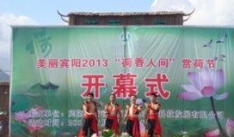 广西宾阳最新闻爆料网,揭秘当地热点事件背后的真相