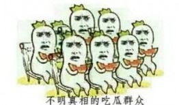 南阳爆料最新事件真相,揭开最新事件真相之谜